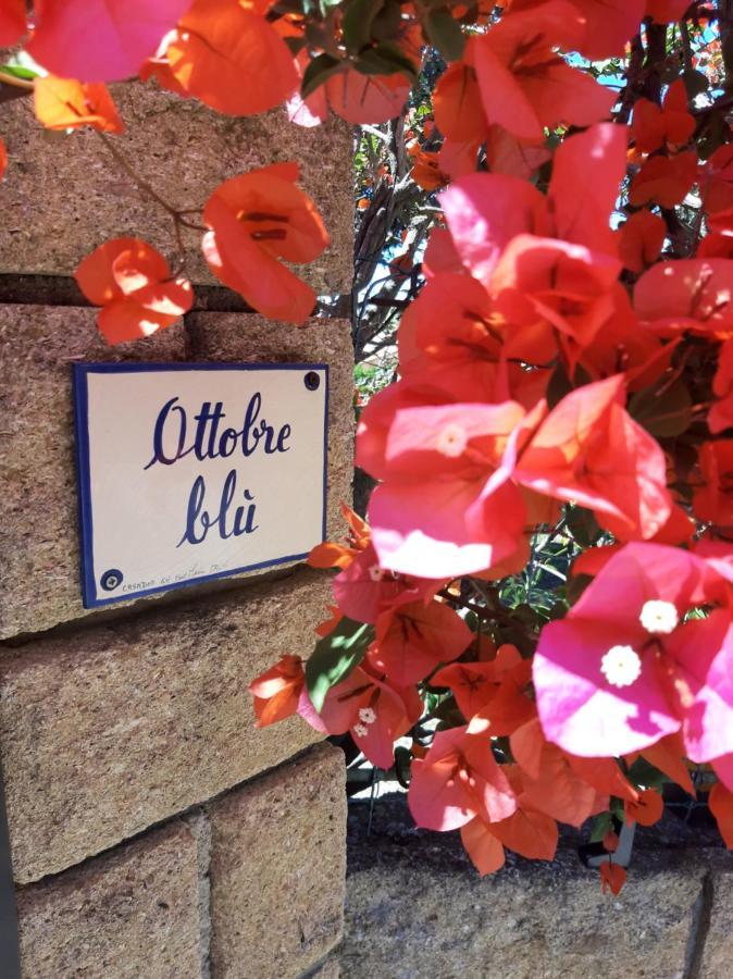 مبيت وإفطار كالفي Casa Ottobre Blu المظهر الخارجي الصورة